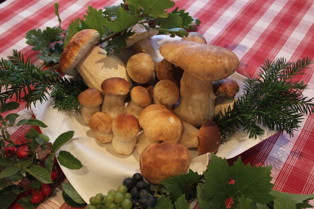 Hotel-Gasthof Die Post Brennerei Frankenhoehe Schillingsfuerst Luaran gambar